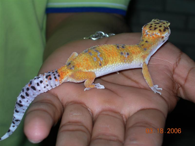 Picture 155 (Medium).jpg