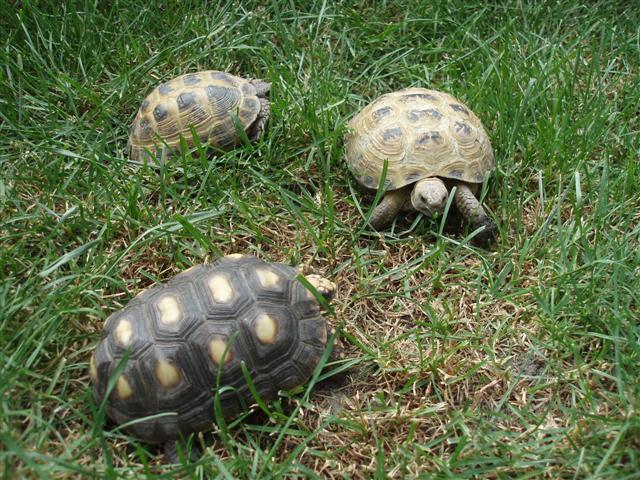 Picture 159 (Small).jpg