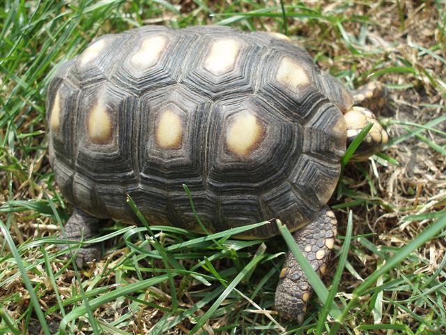 Picture 163 (Small).jpg