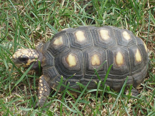 Picture 168 (Small).jpg