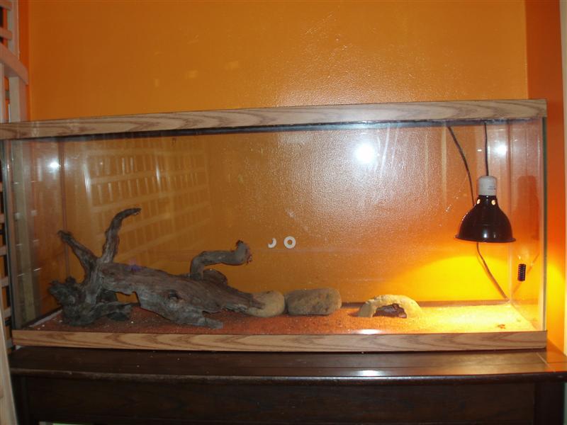 Picture 169 (Medium).jpg