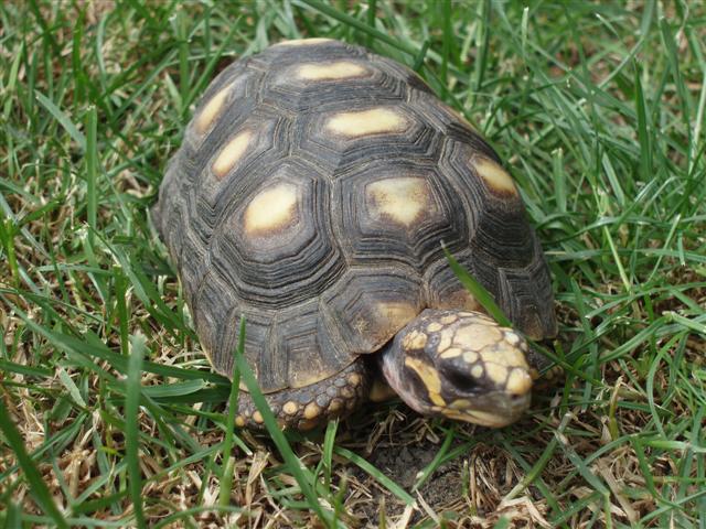 Picture 175 (Small).jpg