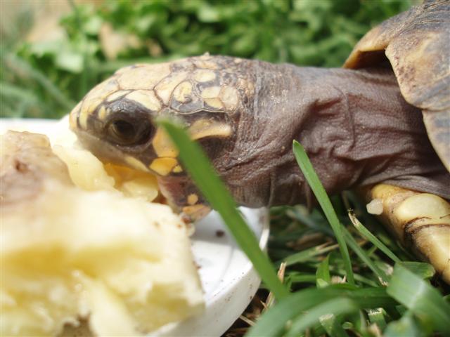 Picture 181 (Small).jpg