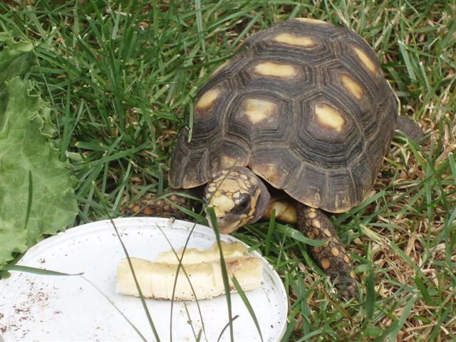 Picture 186 (Small).jpg