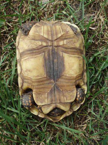 Picture 188 (Small).jpg