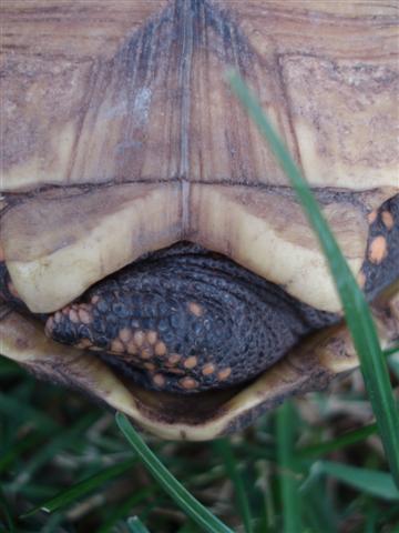 Picture 191 (Small).jpg