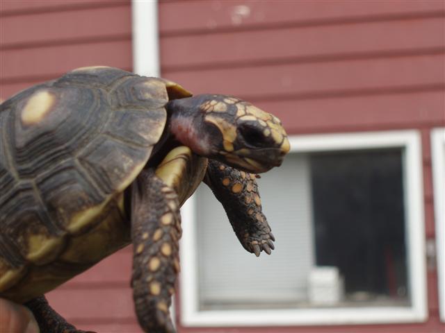 Picture 192 (Small).jpg