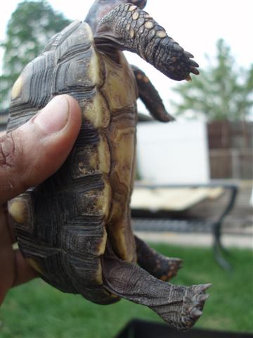 Picture 193 (Small).jpg