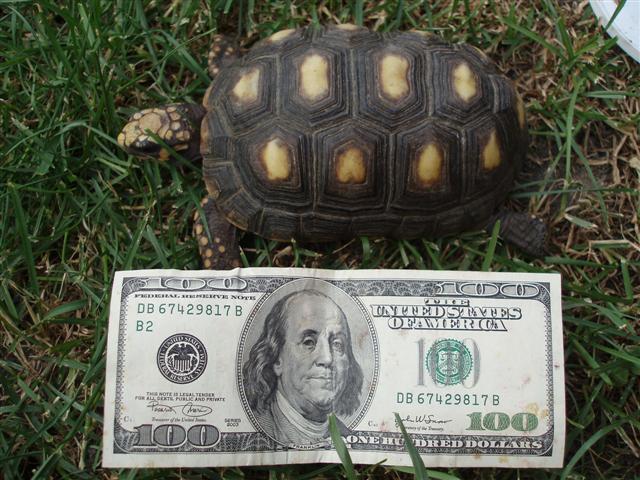 Picture 194 (Small).jpg