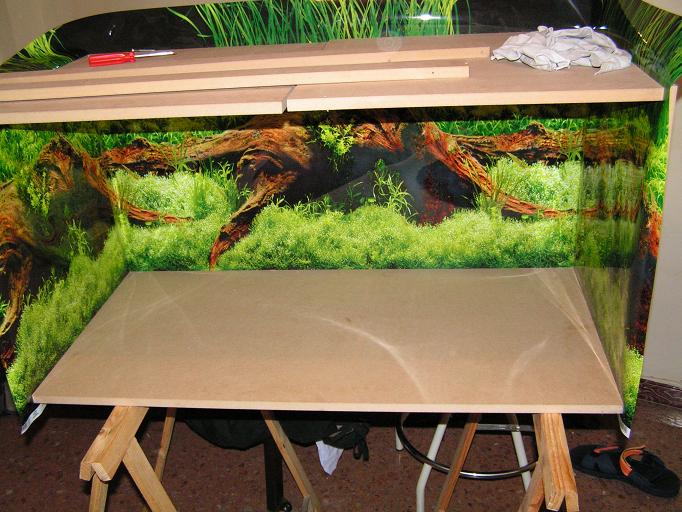 poniendo el fondo.JPG