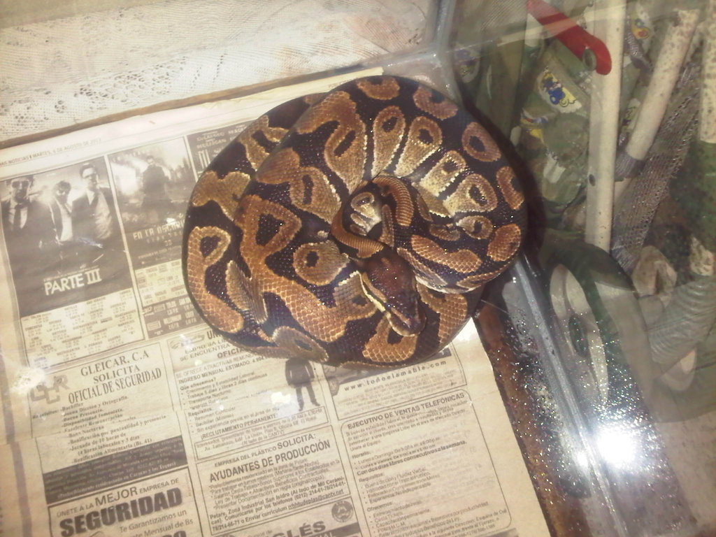 problemas con la puesta..