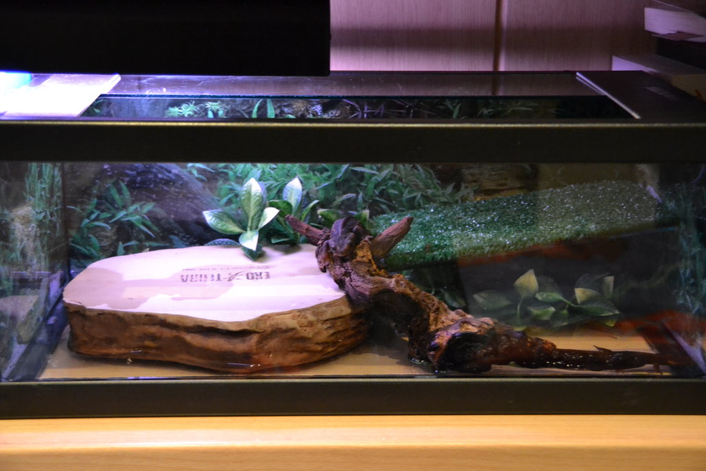 Proceso de acuaterrario