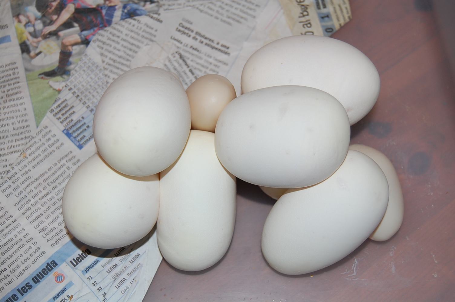 puesta pin x nom 4 - 23-7-2010-.JPG