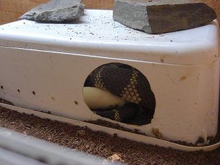 puesta primeras horas.jpg