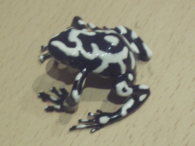 ranas 044.jpg