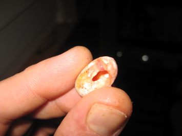 resized_comida y asis 037.jpg