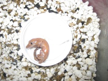 resized_comida y asis 039.jpg