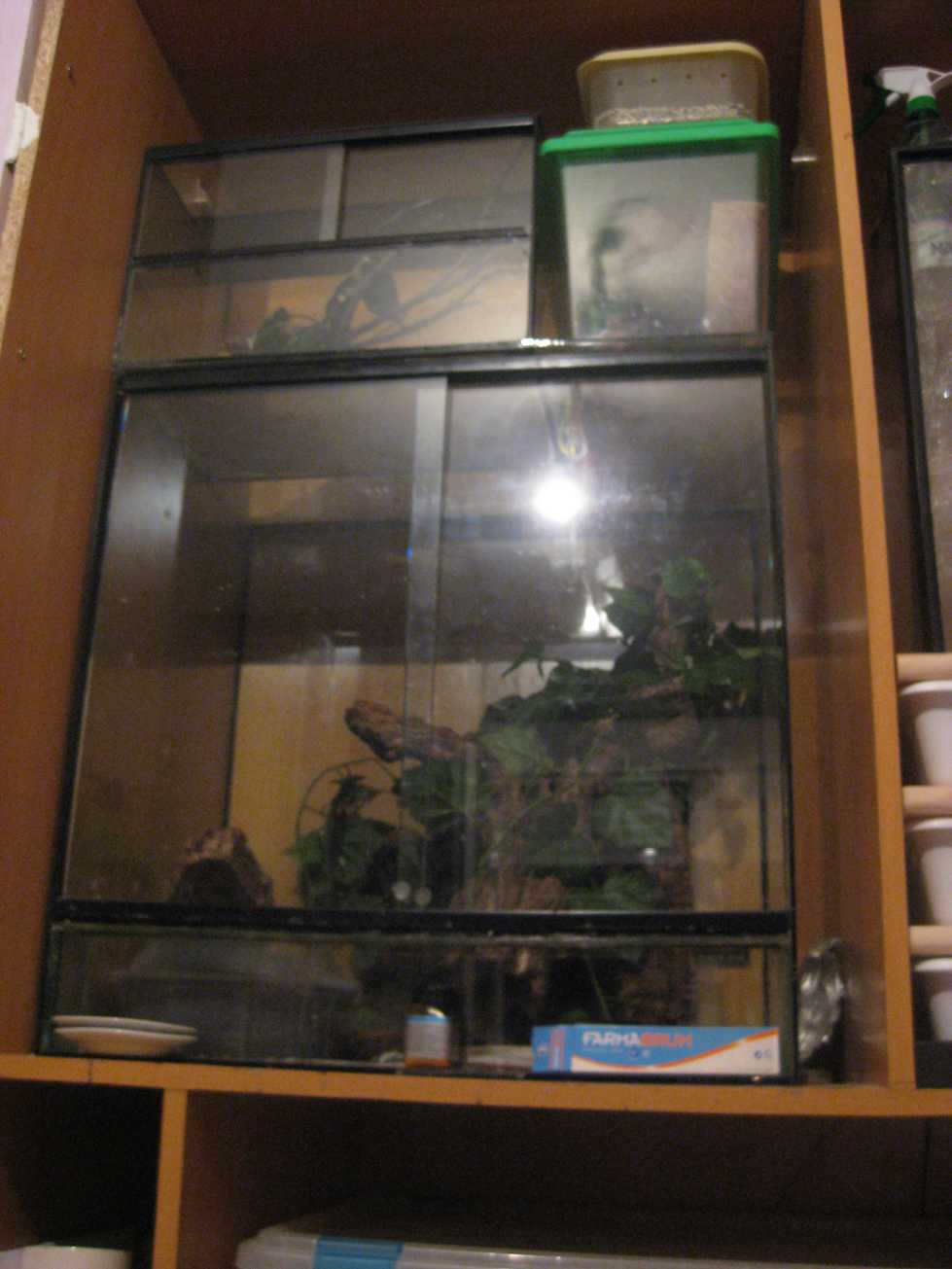 resized_HAMM 2009 + instalaciones 040.jpg