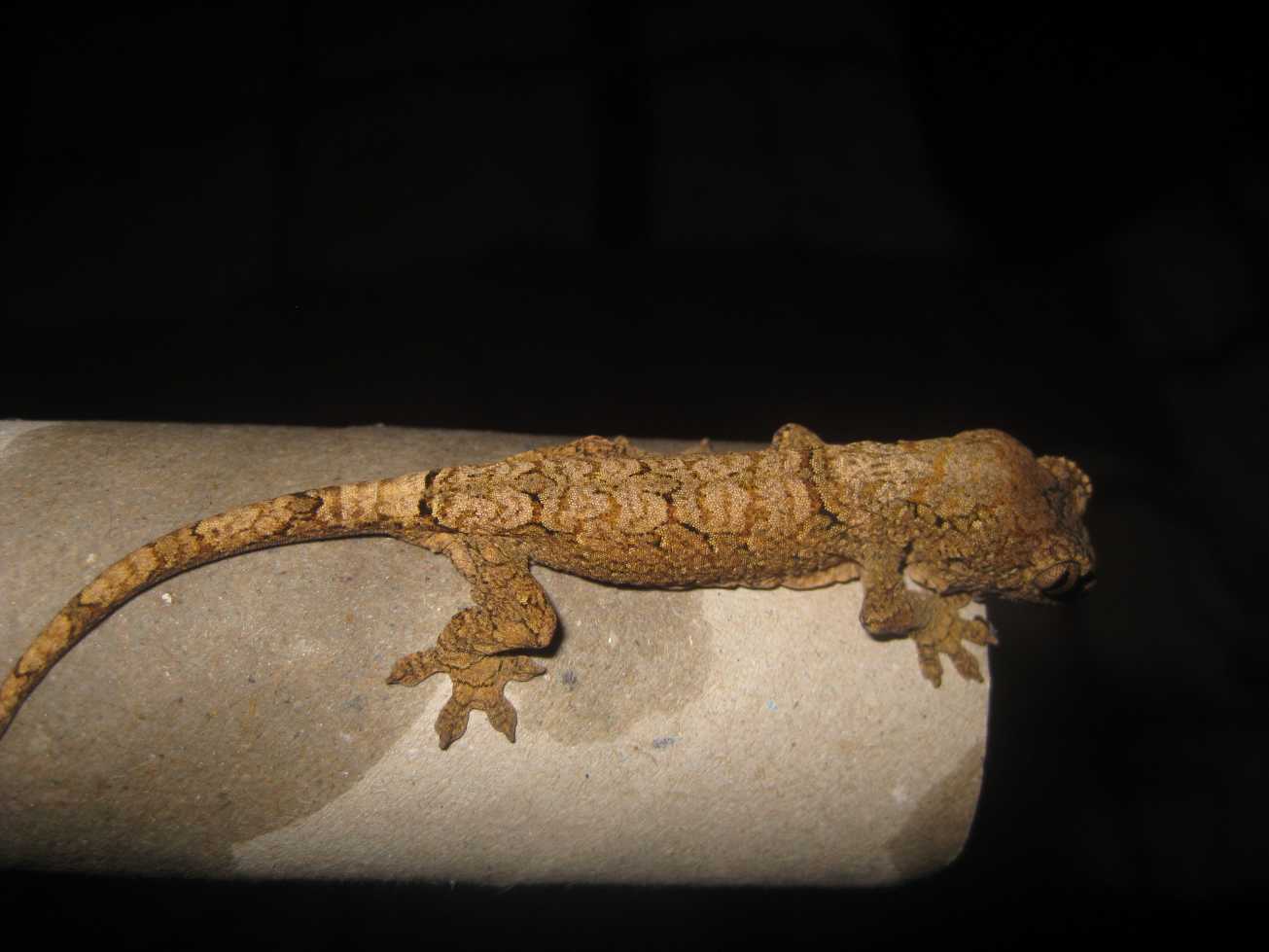 resized_HAMM 2009 + instalaciones 054.jpg