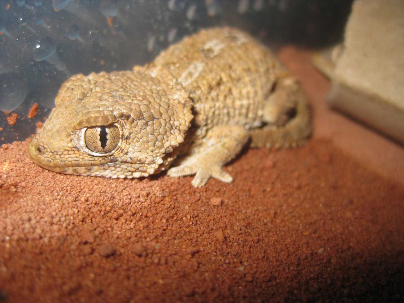 resized_HAMM 2009 + instalaciones 072.jpg