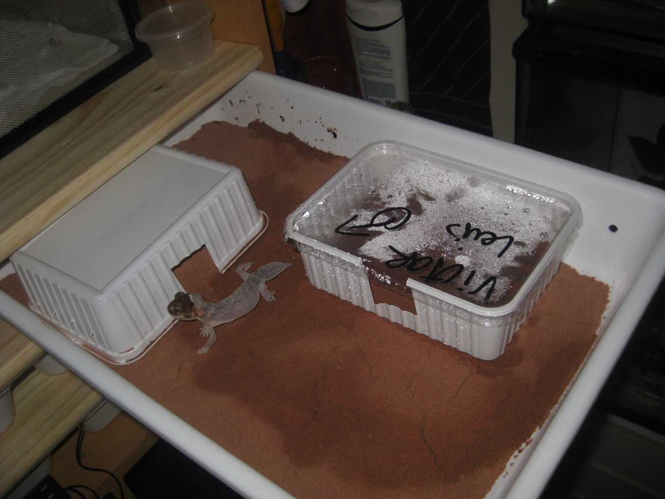 resized_HAMM 2009 + instalaciones 2 002.jpg