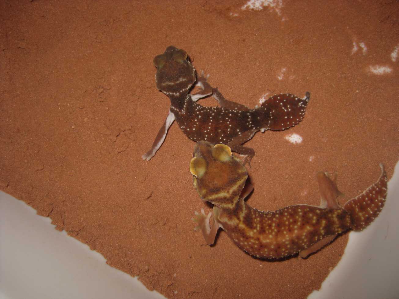 resized_HAMM 2009 + instalaciones 4 007.jpg