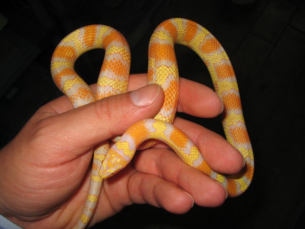 resized_jungle 004.jpg