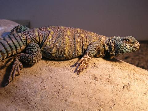 Resized_molins 010.jpg