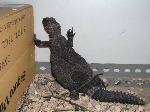 Resized_molins 011.jpg