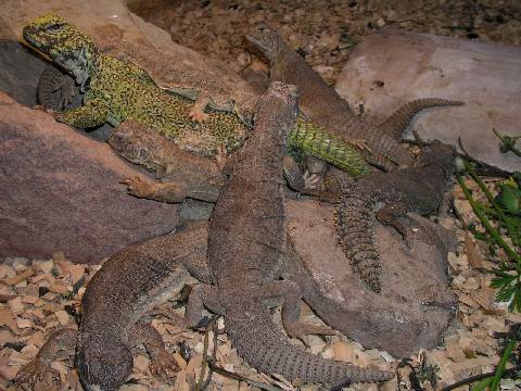 Resized_molins 016.jpg