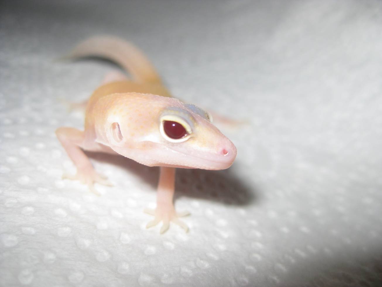 resized_temporada 2009 081.jpg