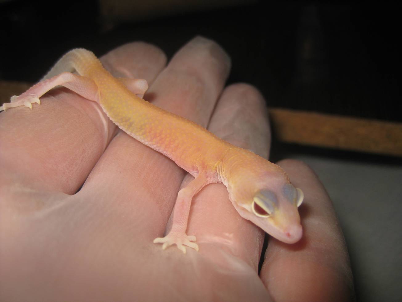 resized_temporada 2009 086.jpg