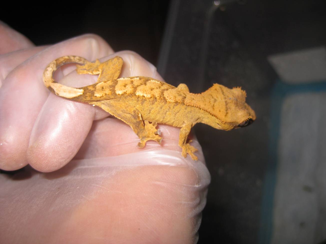 resized_temporada 2009 198.jpg