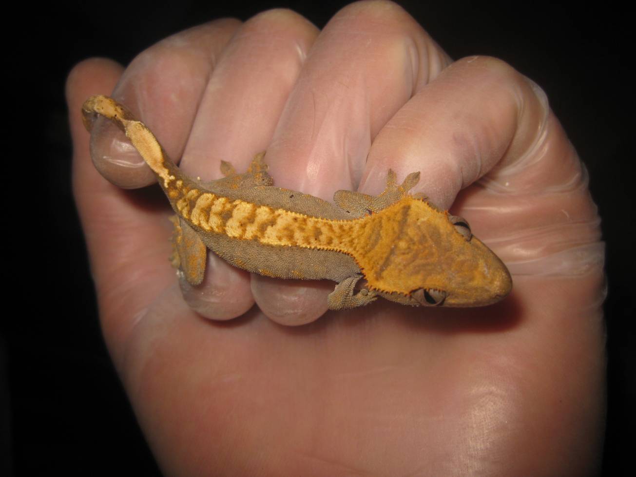 resized_temporada 2009 203.jpg