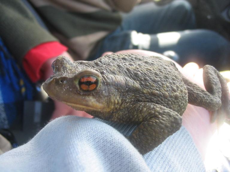 Road Trip Portugal 138.jpg