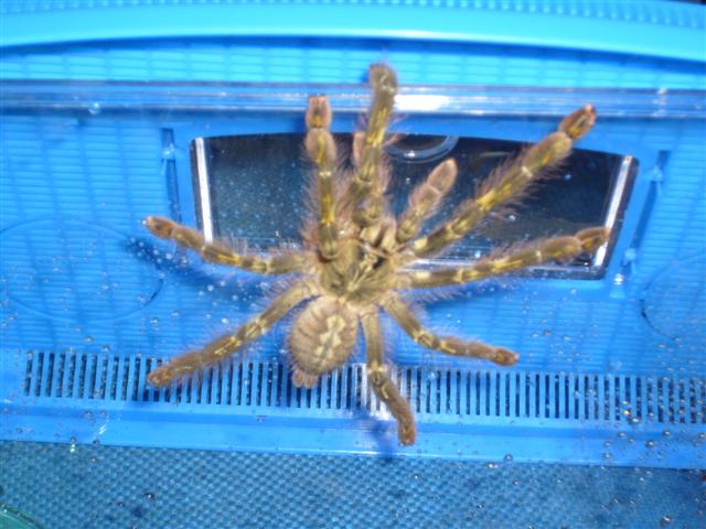 S7000032 (Small).JPG