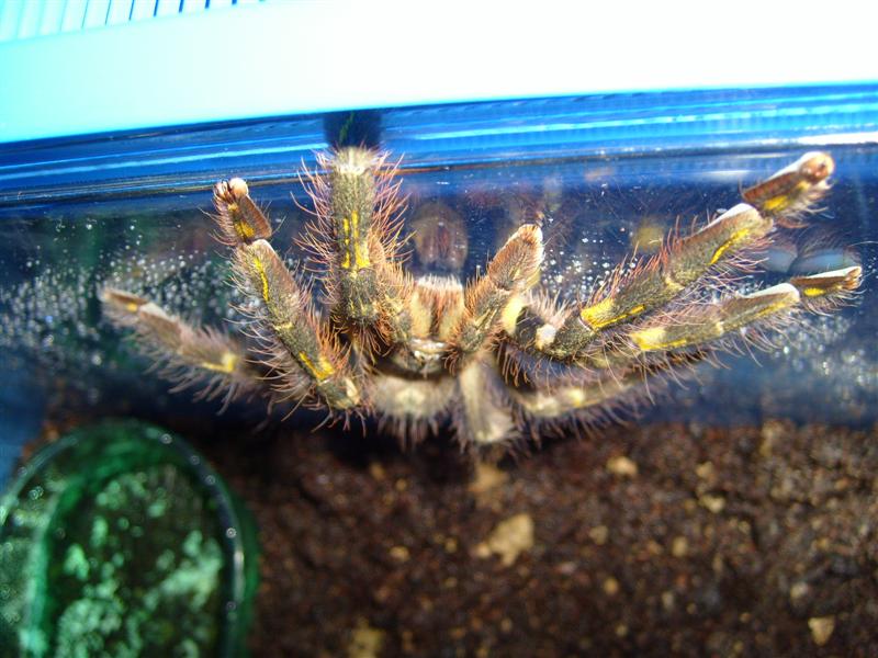 S7000035 (Medium).JPG