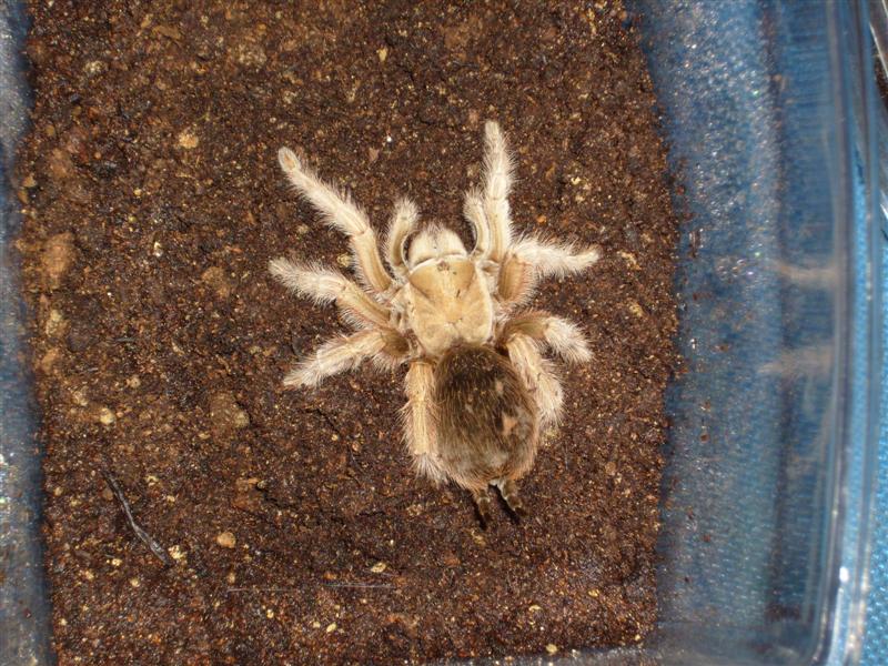 S7000040 (Medium).JPG