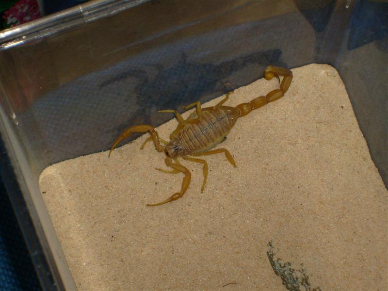 S7000055 (Medium).JPG