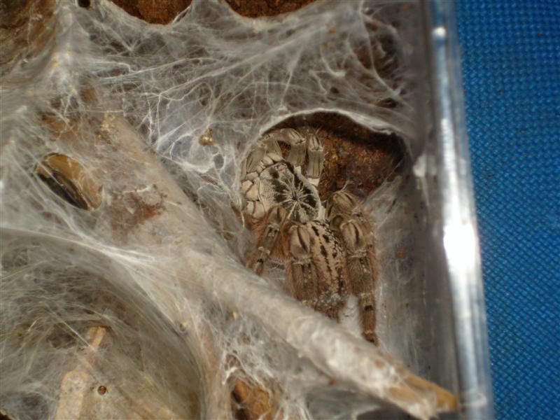 S7000064 (Medium).JPG