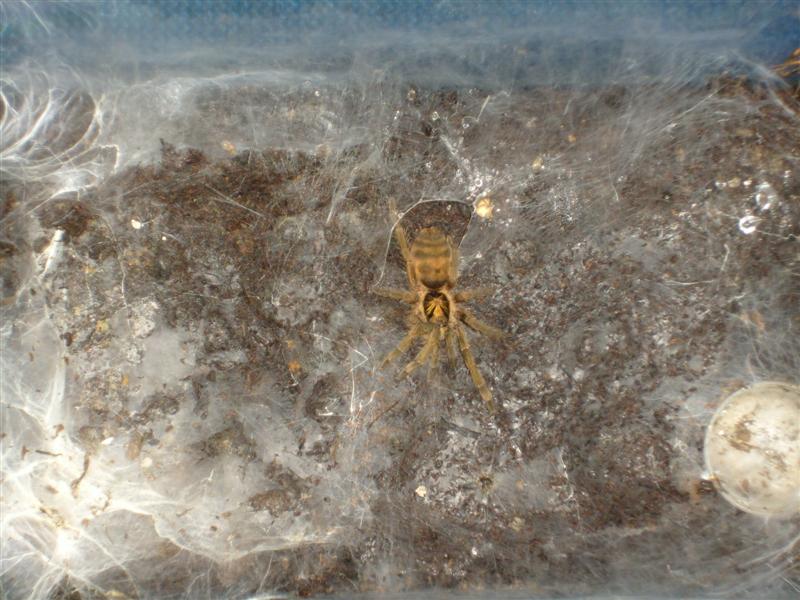 S7000080 (Medium).JPG