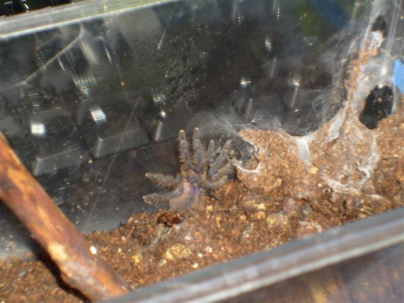 S7000096 (Medium).JPG