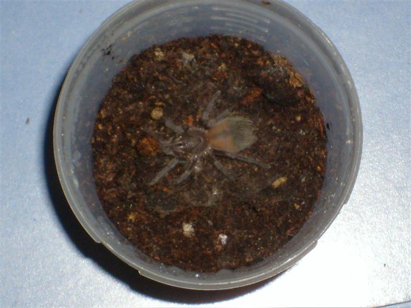 S7000131 (Medium).JPG