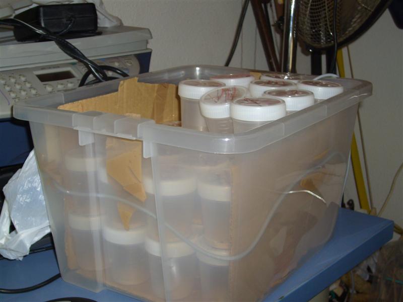 S7000190 (Medium).JPG