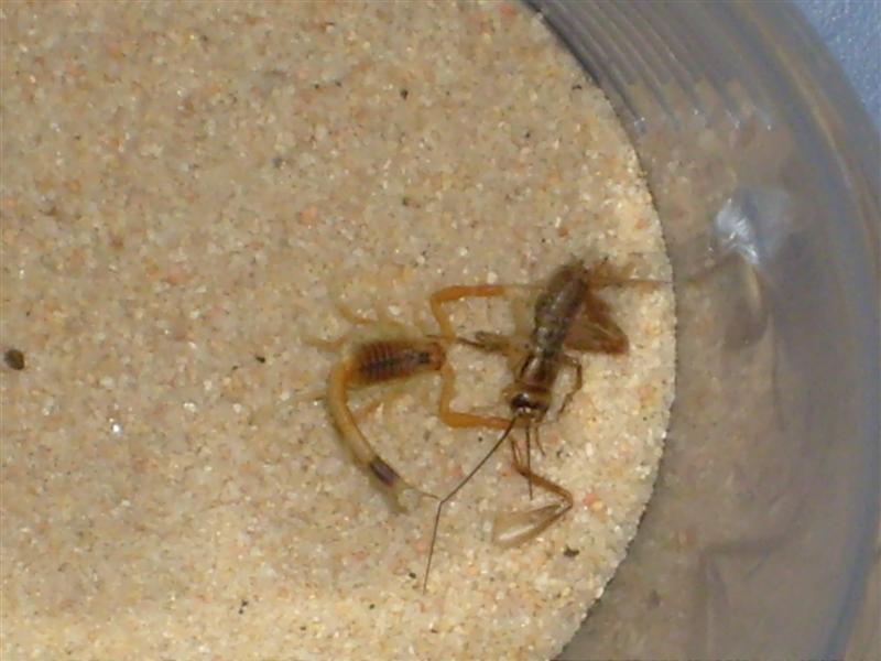 S7000192 (Medium).JPG