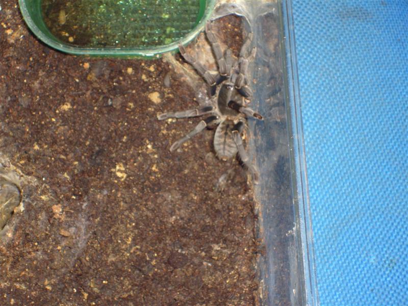 S7000209 (Medium).JPG