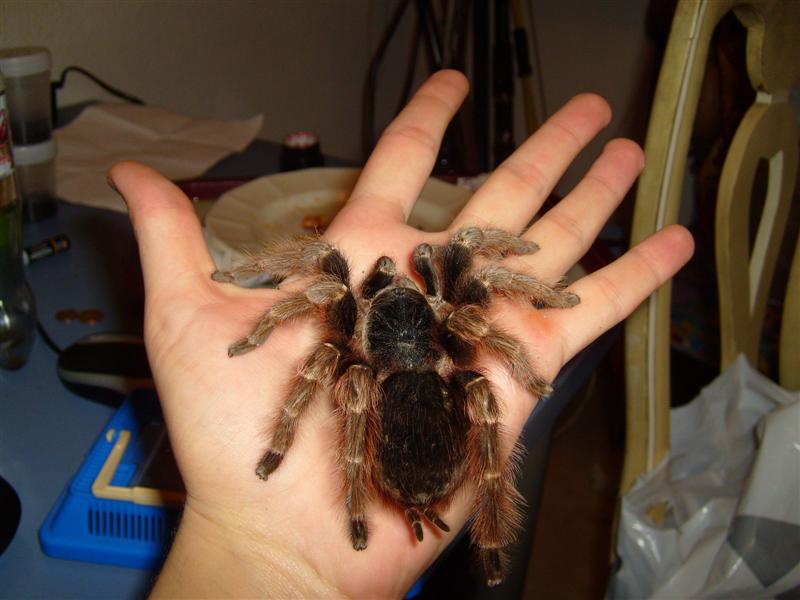 S7000223 (Medium).JPG