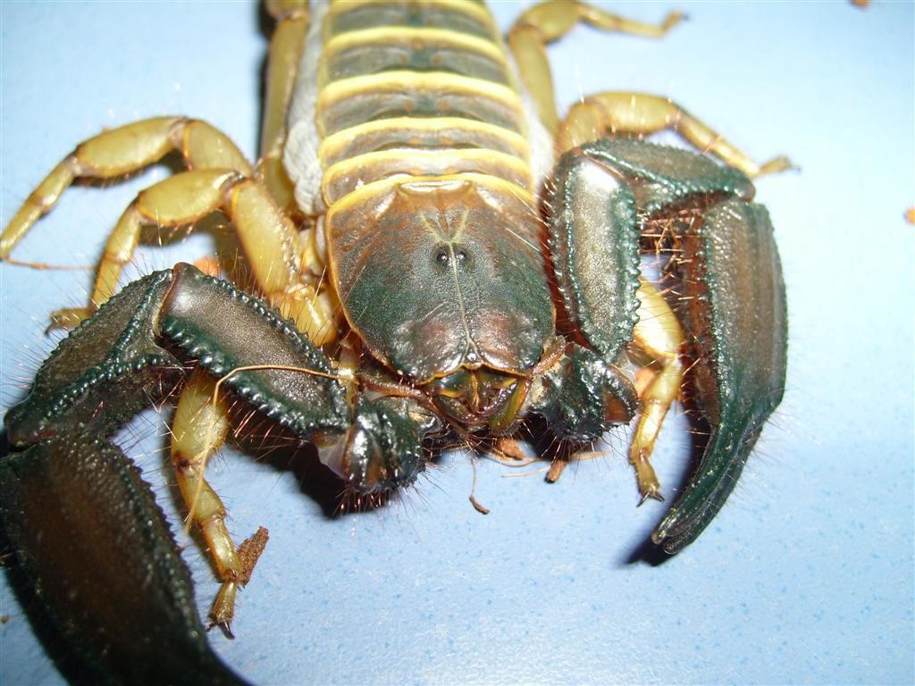 S7000240 (Large).JPG