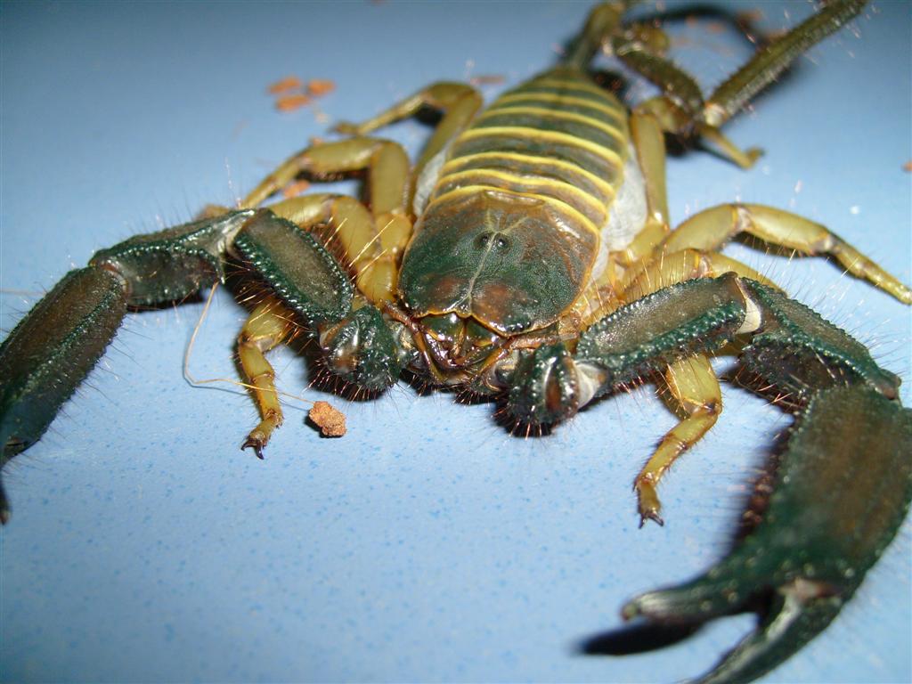 S7000245 (Large).JPG