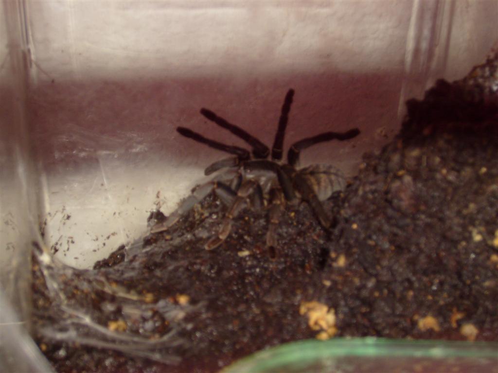 S7000252 (Large).JPG